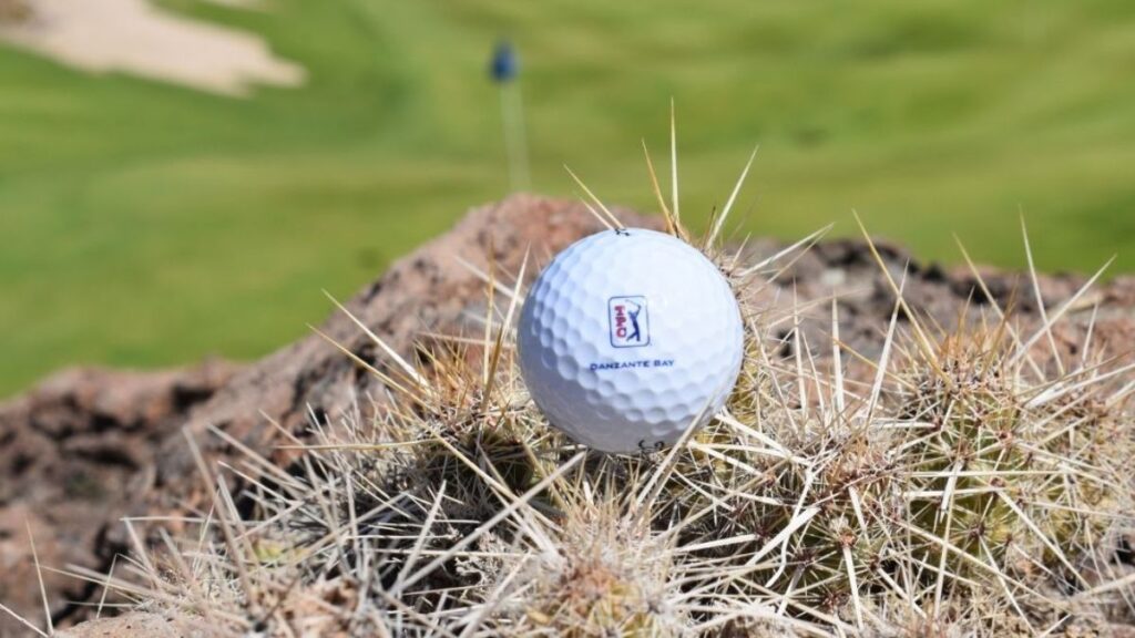 Dessert golf ball